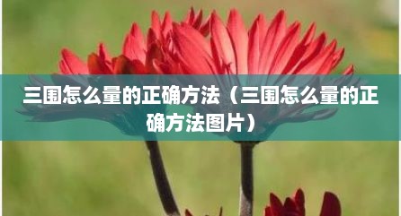 三围怎么量的正确方法（三围怎么量的正确方法图片）