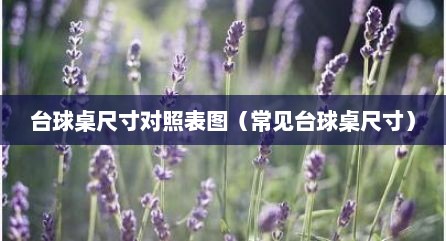 台球桌尺寸对照表图（常见台球桌尺寸）