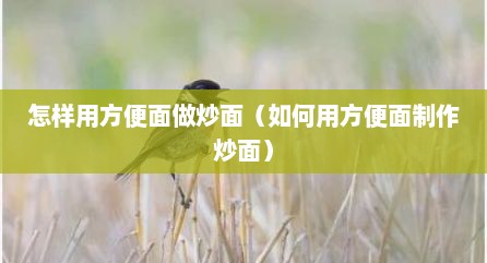怎样用方便面做炒面（如何用方便面制作炒面）