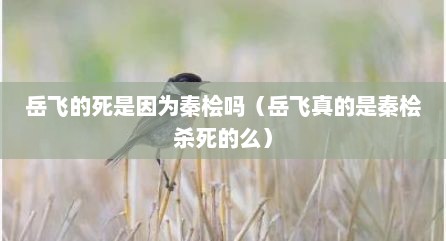 岳飞的死是因为秦桧吗（岳飞真的是秦桧杀死的么）