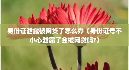 身份证泄露被网贷了怎么办（身份证号不小心泄露了会被网贷吗?）