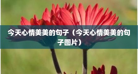 今天心情美美的句子（今天心情美美的句子图片）