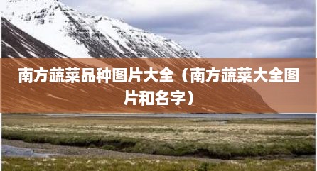 南方蔬菜品种图片大全（南方蔬菜大全图片和名字）