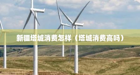 新疆塔城消费怎样（塔城消费高吗）