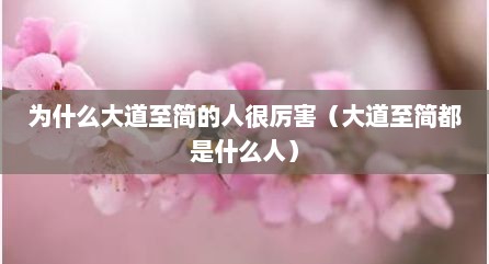 为什么大道至简的人很厉害（大道至简都是什么人）