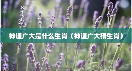 神通广大是什么生肖（神通广大猜生肖）