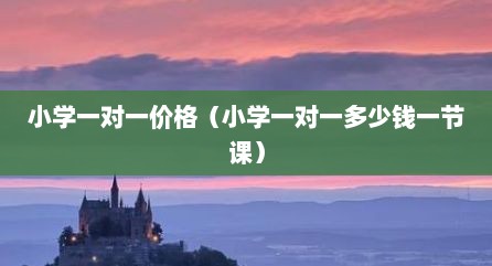 小学一对一价格（小学一对一多少钱一节课）
