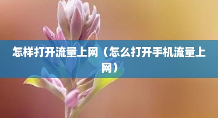 怎样打开流量上网（怎么打开手机流量上网）