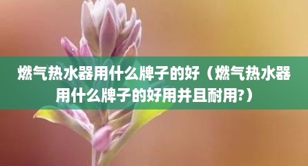 燃气热水器用什么牌子的好（燃气热水器用什么牌子的好用并且耐用?）