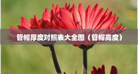 管帽厚度对照表大全图（管帽高度）