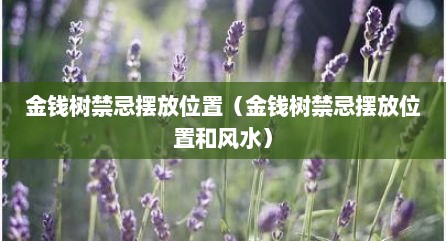 金钱树禁忌摆放位置（金钱树禁忌摆放位置和风水）