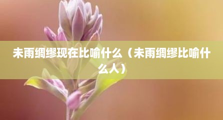未雨绸缪现在比喻什么（未雨绸缪比喻什么人）