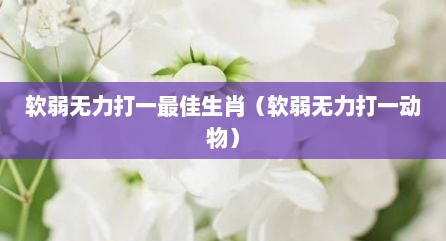 软弱无力打一最佳生肖（软弱无力打一动物）