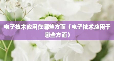 电子技术应用在哪些方面（电子技术应用于哪些方面）