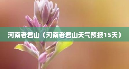 河南老君山（河南老君山天气预报15天）
