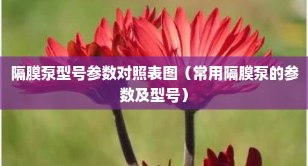 隔膜泵型号参数对照表图（常用隔膜泵的参数及型号）