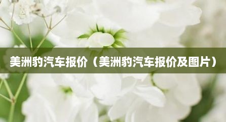 美洲豹汽车报价（美洲豹汽车报价及图片）