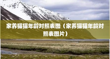 家养猫猫年龄对照表图（家养猫猫年龄对照表图片）