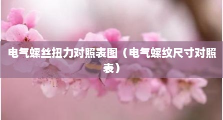 电气螺丝扭力对照表图（电气螺纹尺寸对照表）
