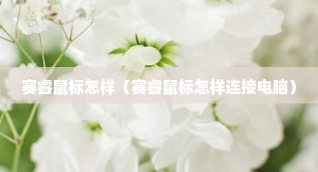 赛睿鼠标怎样（赛睿鼠标怎样连接电脑）