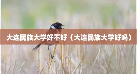 大连民族大学好不好（大连民族大学好吗）