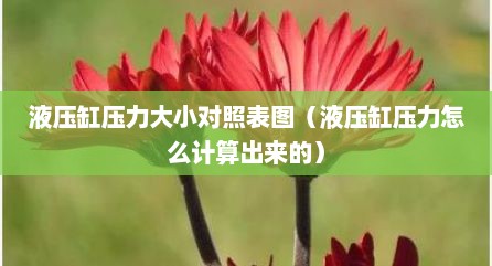 液压缸压力大小对照表图（液压缸压力怎么计算出来的）