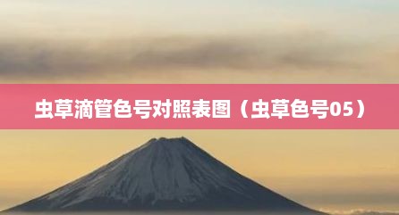 虫草滴管色号对照表图（虫草色号05）