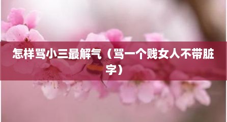 怎样骂小三最解气（骂一个贱女人不带脏字）
