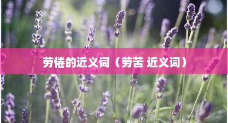 劳倦的近义词（劳苦 近义词）