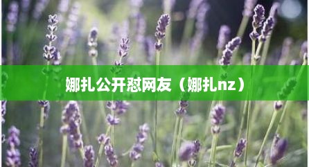 娜扎公开怼网友（娜扎nz）