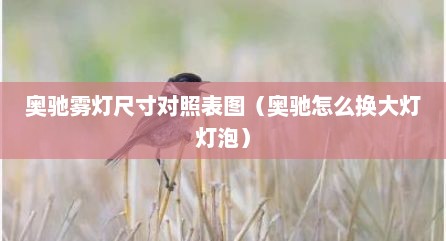 奥驰雾灯尺寸对照表图（奥驰怎么换大灯灯泡）