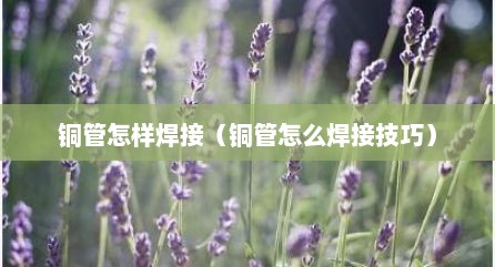 铜管怎样焊接（铜管怎么焊接技巧）