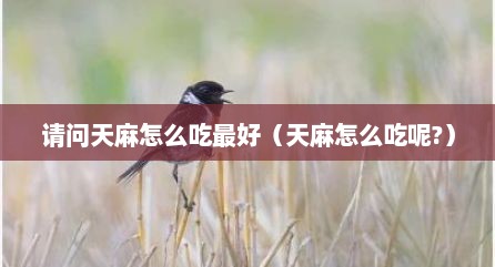 请问天麻怎么吃最好（天麻怎么吃呢?）