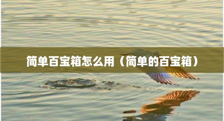 简单百宝箱怎么用（简单的百宝箱）