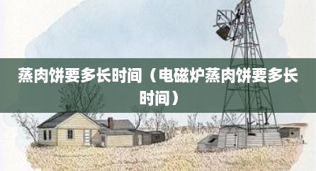 蒸肉饼要多长时间（电磁炉蒸肉饼要多长时间）