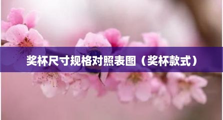 奖杯尺寸规格对照表图（奖杯款式）