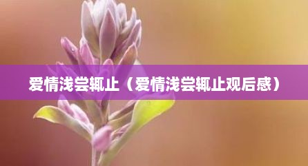 爱情浅尝辄止（爱情浅尝辄止观后感）