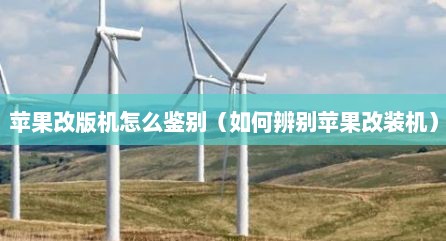 苹果改版机怎么鉴别（如何辨别苹果改装机）
