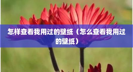 怎样查看我用过的壁纸（怎么查看我用过的壁纸）