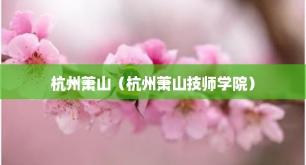 杭州萧山（杭州萧山技师学院）