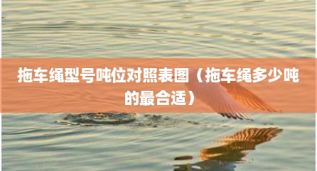 拖车绳型号吨位对照表图（拖车绳多少吨的最合适）