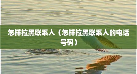怎样拉黑联系人（怎样拉黑联系人的电话号码）