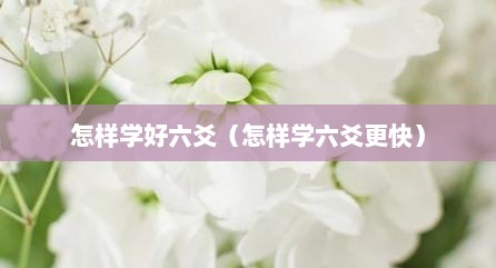 怎样学好六爻（怎样学六爻更快）