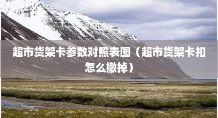 超市货架卡参数对照表图（超市货架卡扣怎么撤掉）