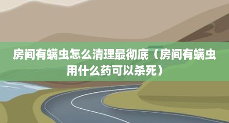 房间有螨虫怎么清理最彻底（房间有螨虫用什么药可以杀死）