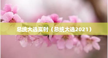 总统大选实时（总统大选2021）
