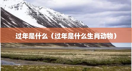 过年是什么（过年是什么生肖动物）