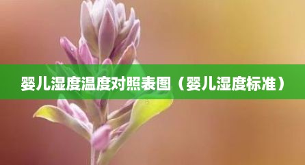 婴儿湿度温度对照表图（婴儿湿度标准）