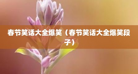 春节笑话大全爆笑（春节笑话大全爆笑段子）