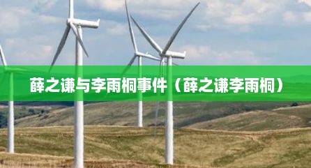 薛之谦与李雨桐事件（薛之谦李雨桐）